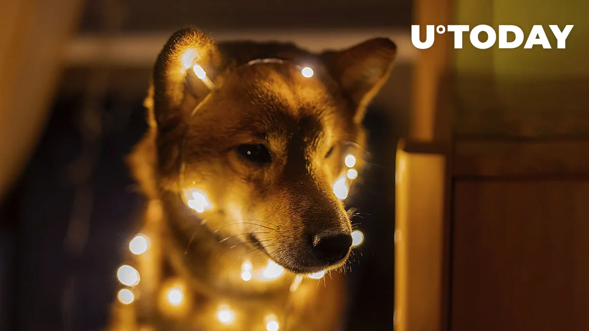 Shiba Inu (SHIB) Forming Reversal Pattern Ahead of New Year