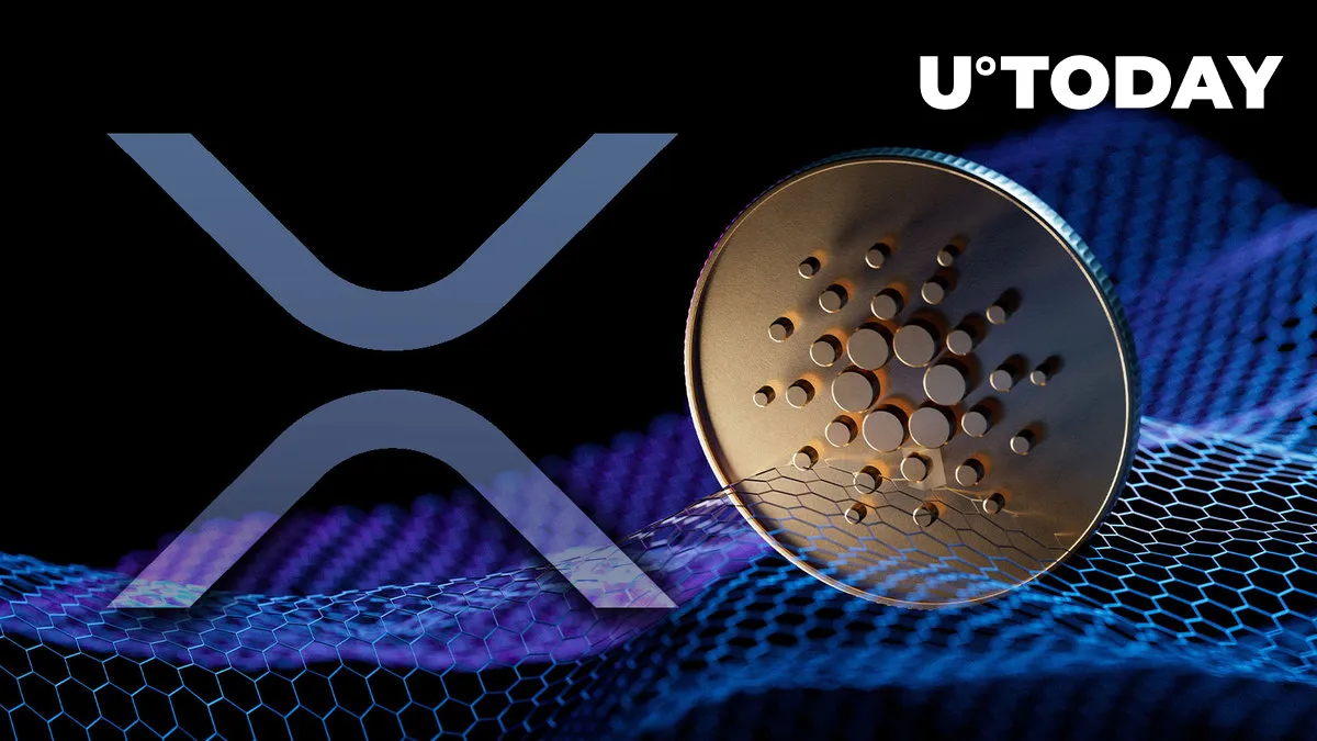 XRP, Cardano: Long-term Opportunities Are Back, Crypto Influencer Predicts