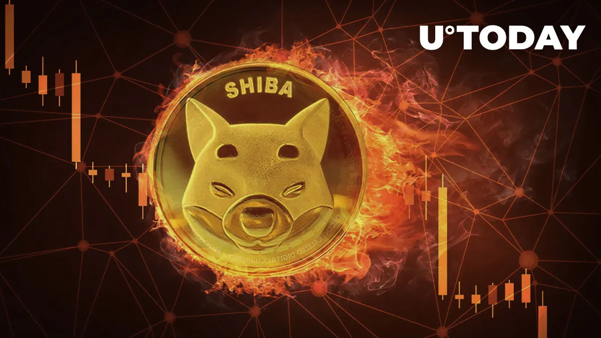 Shiba Inu Burn Rate Collapses by 80%, Here's Who Can Save It