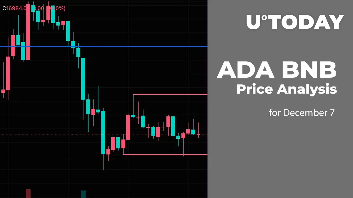 ADA and BNB Price Analysis for December 7