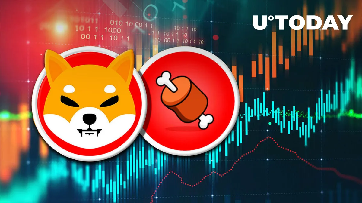 Shiba Inu's BONE Trading Volume Suddenly up 70%, This Might Be Reason