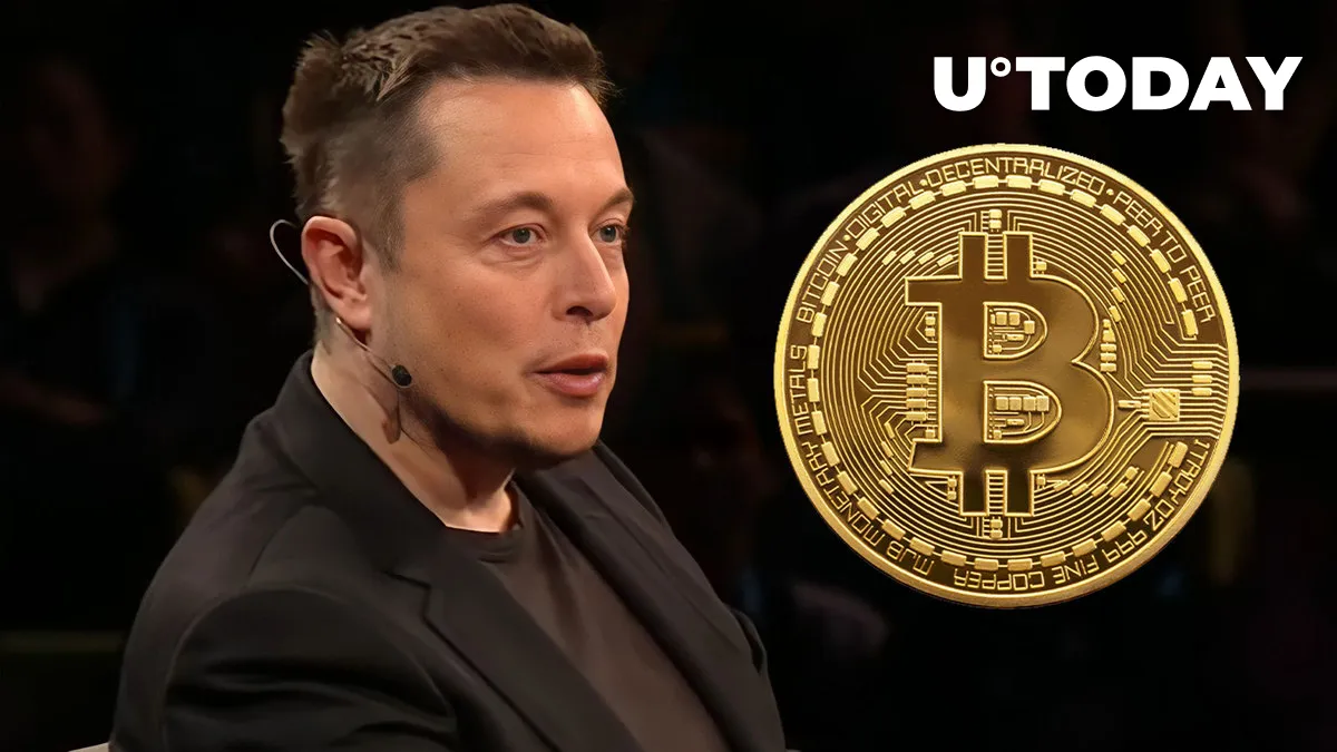 Bitcoin Sees Another Threat? - Elon Musk Just Might Be Hinting At This