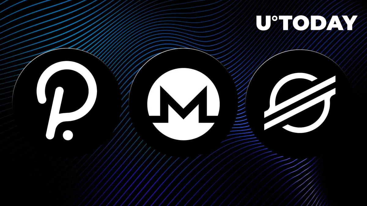 DOT, XMR, XLM Might Be Potential Candidates for Price Increases, Here's Why