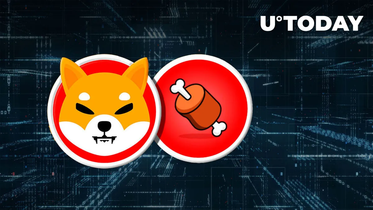 Strange Activity Happens to Shiba Inu's BONE, Here's What It's About