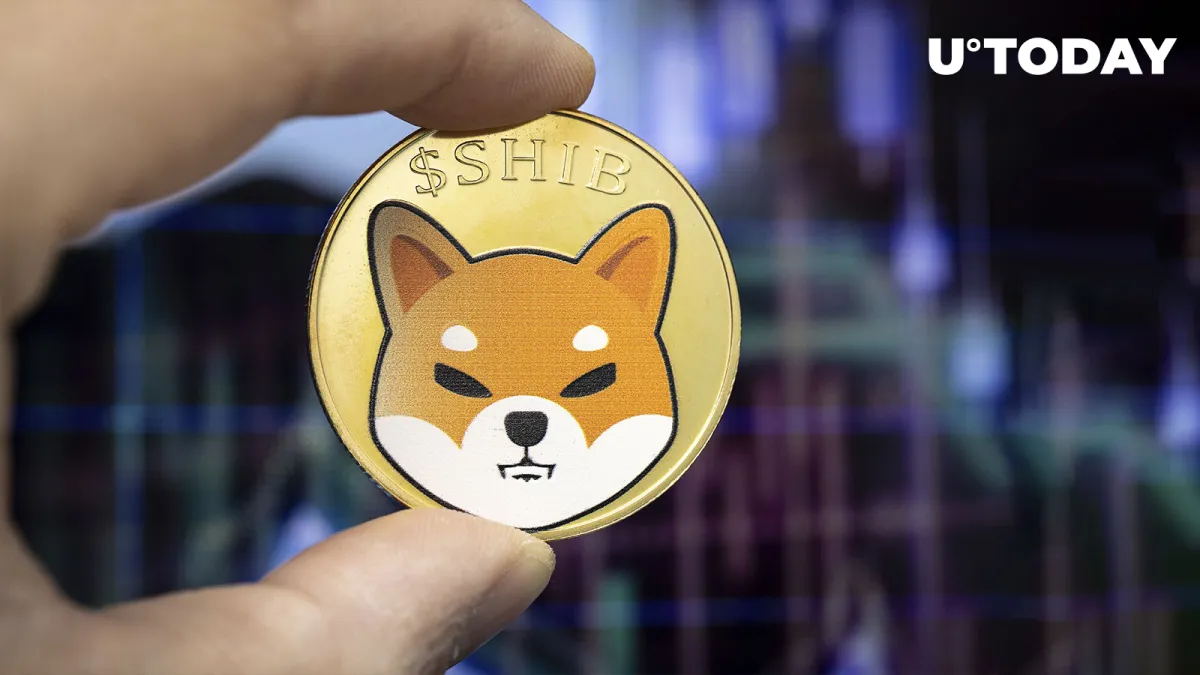 Lead Shiba Inu Developer Apologizes as Countdown Ends Up Being Nothingburger