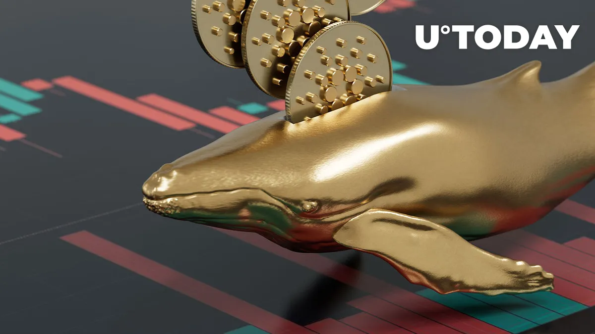 Cardano Whales Added 331 Million Additional ADA After Collapse of FTX