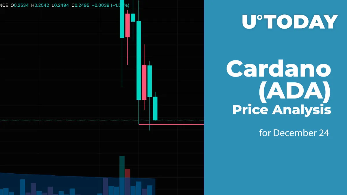Cardano (ADA) Price Analysis for December 24