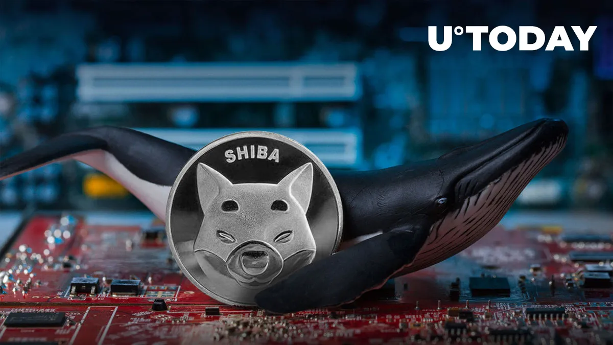 Amount of SHIB Supply Held by Whales Becomes Alarming