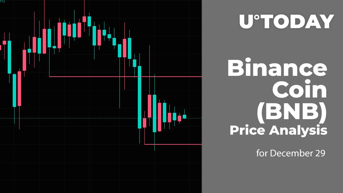 Binance Coin (BNB) Price Analysis for December 29