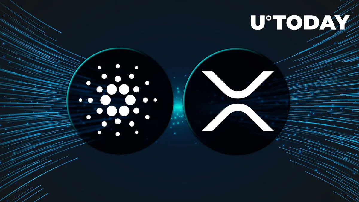 CEO Trashes XRP and ADA. Are They Really Worth Nothing?