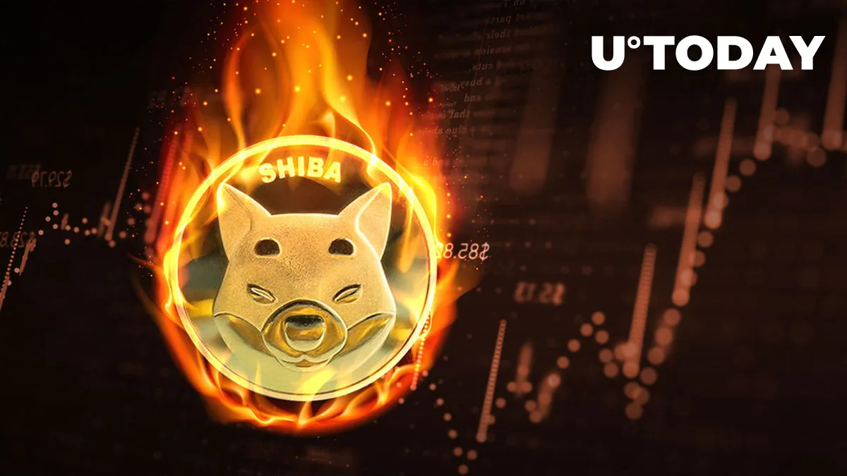 SHIB Burn Rate Soars 502% as Shiba Inu Strives for Big Rise
