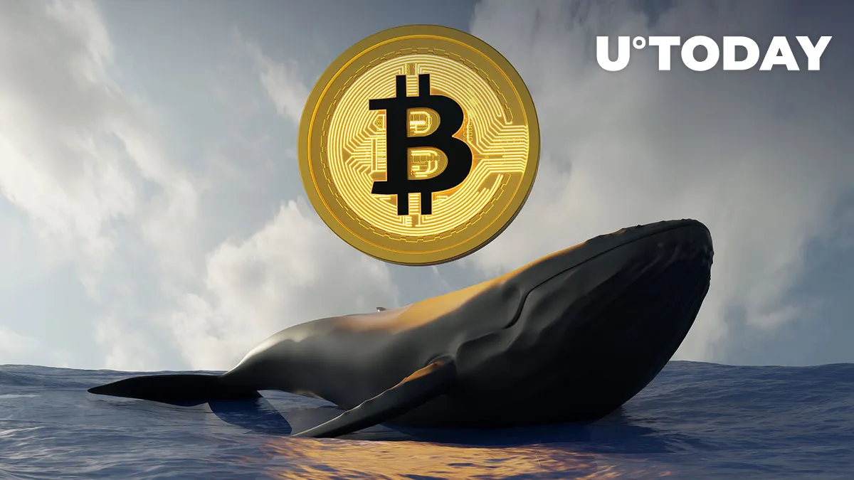 13,370 BTC Bought by This New Bitcoin Whale in One Biggest Monthly Transfer: Details