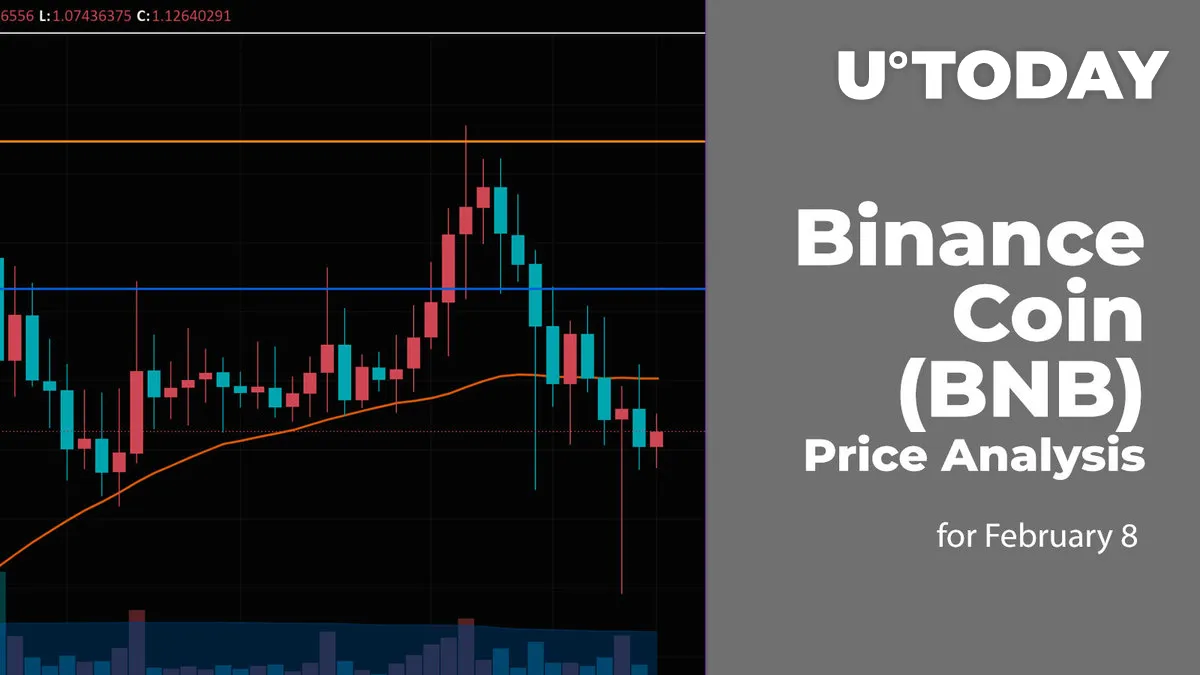 Binance Coin (BNB) Price Analysis for February 8