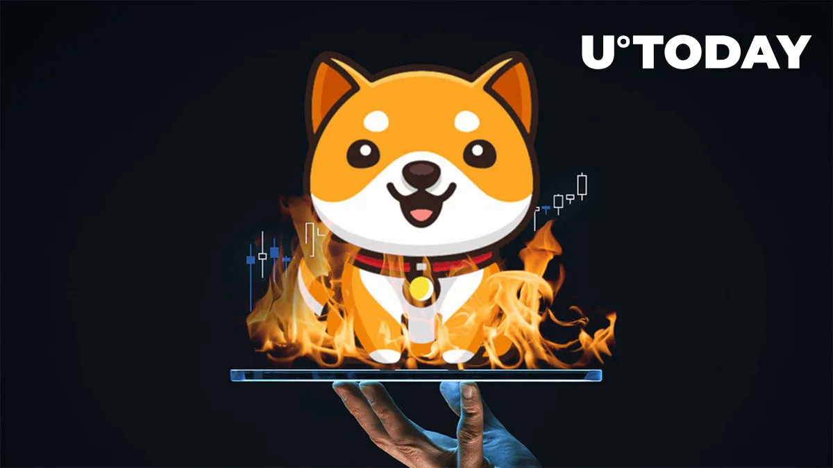 202.7 Quadrillion Baby Doge Coin (BabyDoge) Burned in Total as Price Jumps to Yearly High