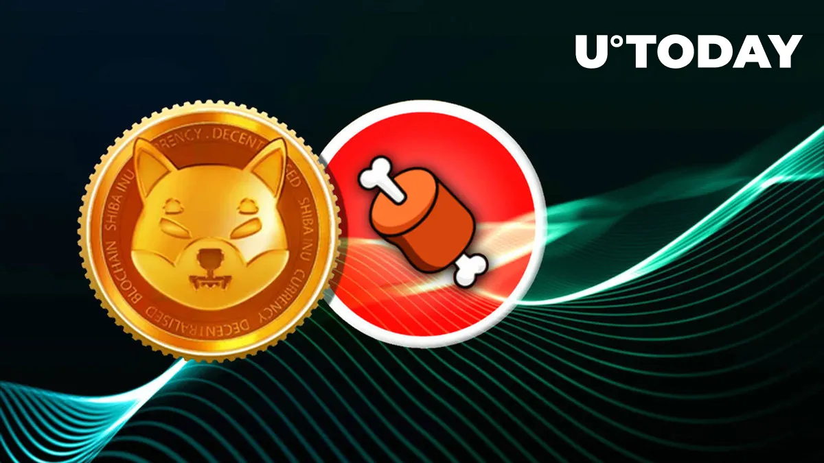 Shiba Inu's BONE up 18% on Shibarium Positivity