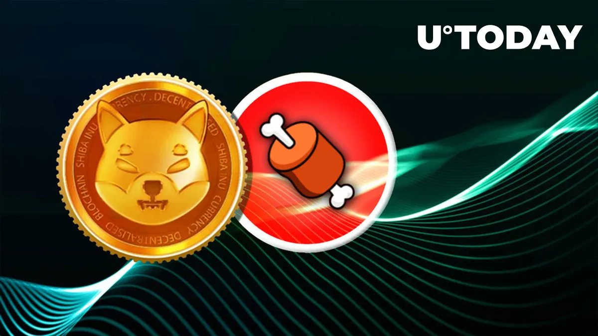 Shiba Inu's BONE Rallies 8% as SHIB Dev Hints Positive News: Details