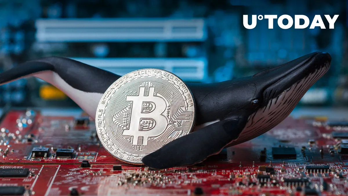 Ancient Bitcoin Whales Massively Waking Up: What's Happening?