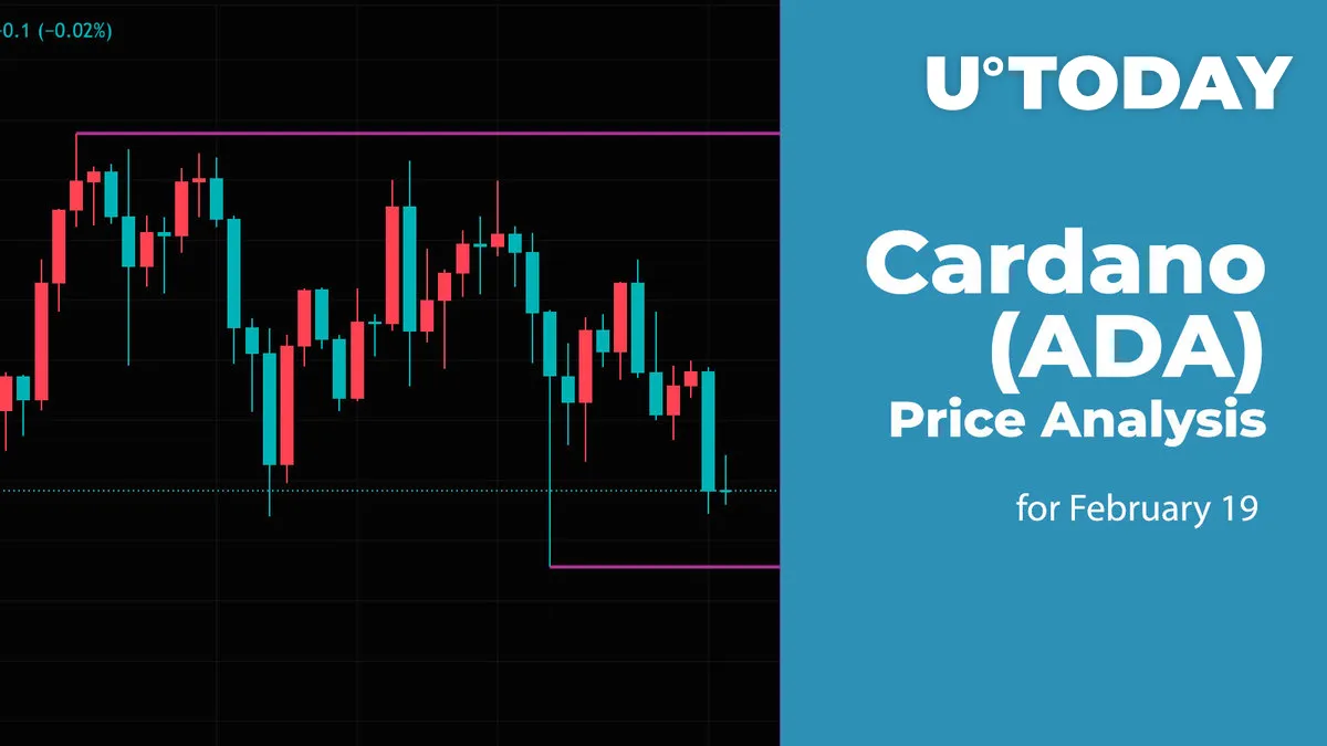Cardano (ADA) Price Analysis for February 19