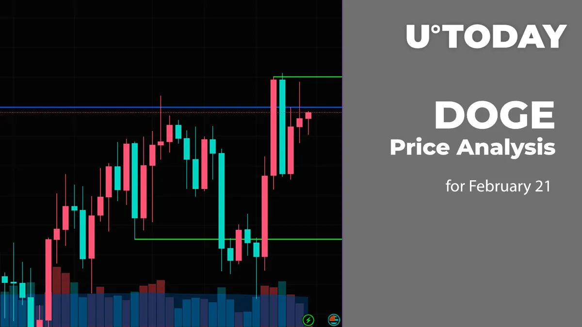 DOGE Price Analysis for February 21