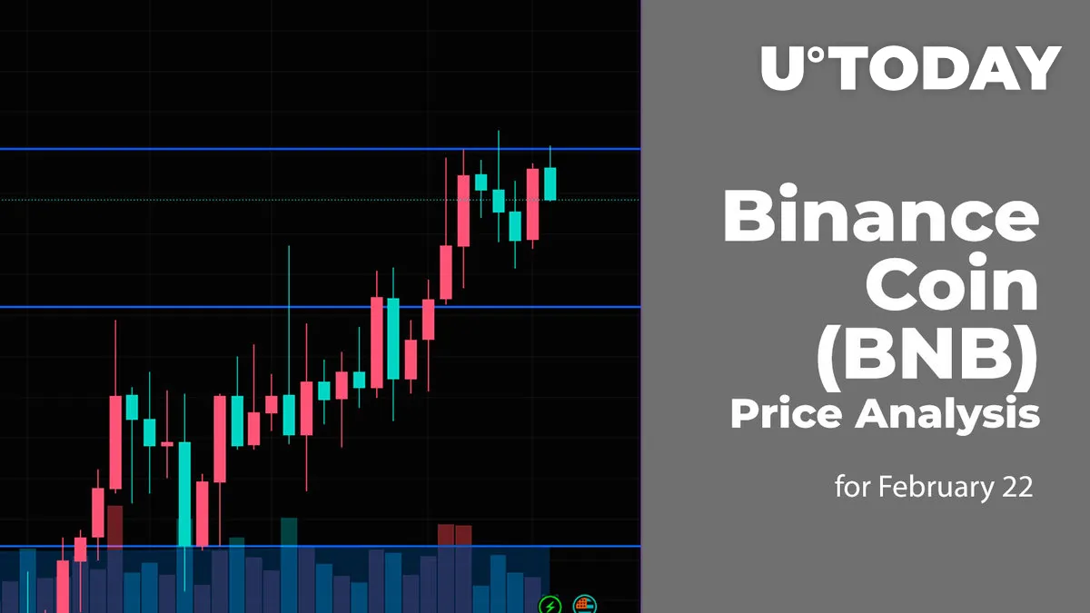 Binance Coin (BNB) Price Analysis for February 22