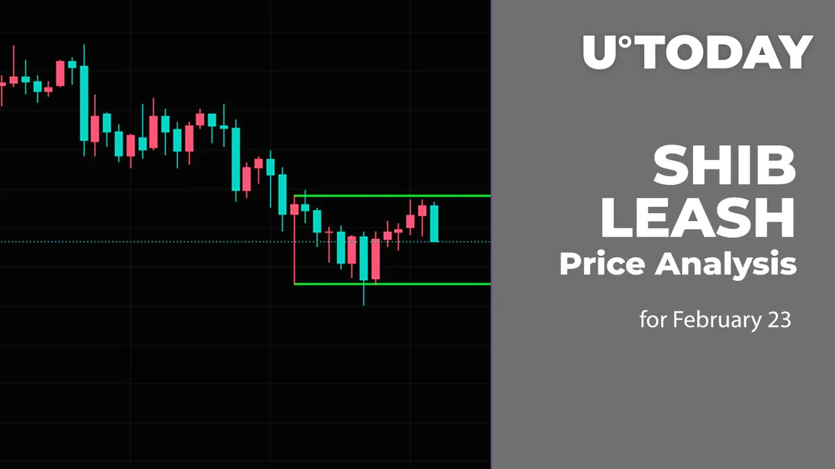 SHIB and LEASH Price Analysis for February 23