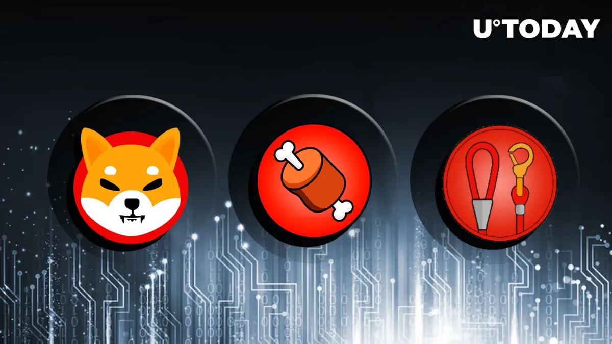 Shiba Inu (SHIB), BONE and LEASH Biggest Holder Revealed, Here's Who It Is