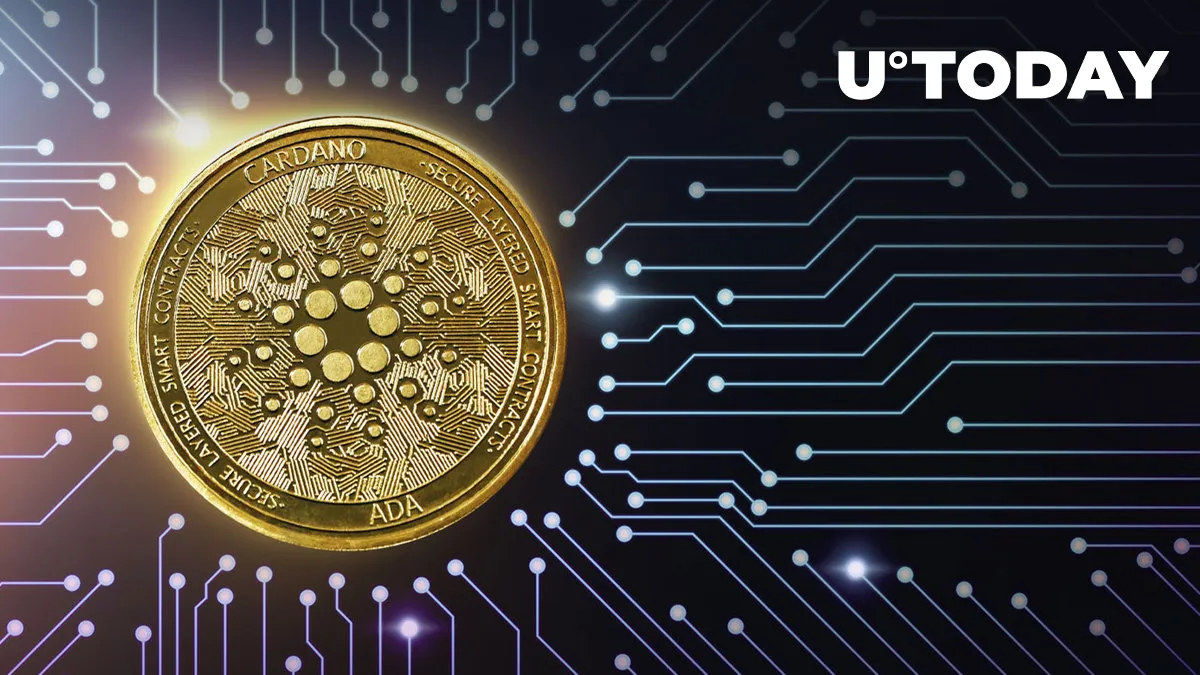 3 Key Cardano Insights as Another Major Upgrade Is on Its Way