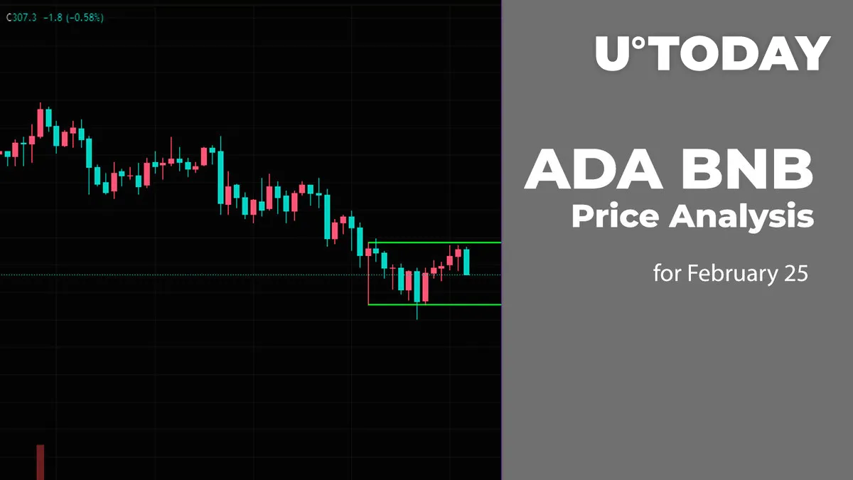 ADA and BNB Price Analysis for February 25