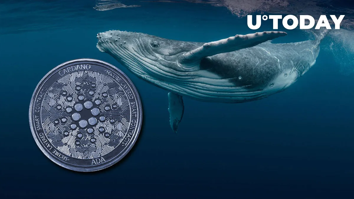 Cardano (ADA) Whales Waking up, On-chain Data Signals Trend