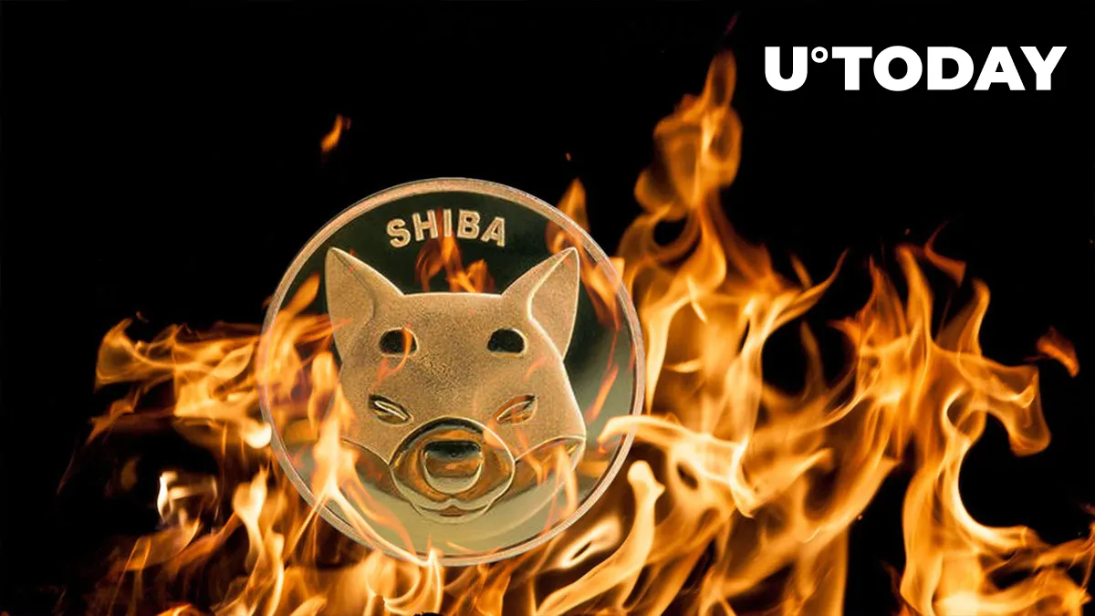 Shiba Inu (SHIB) Burn Rate up 840%, Here's What This Means for Price
