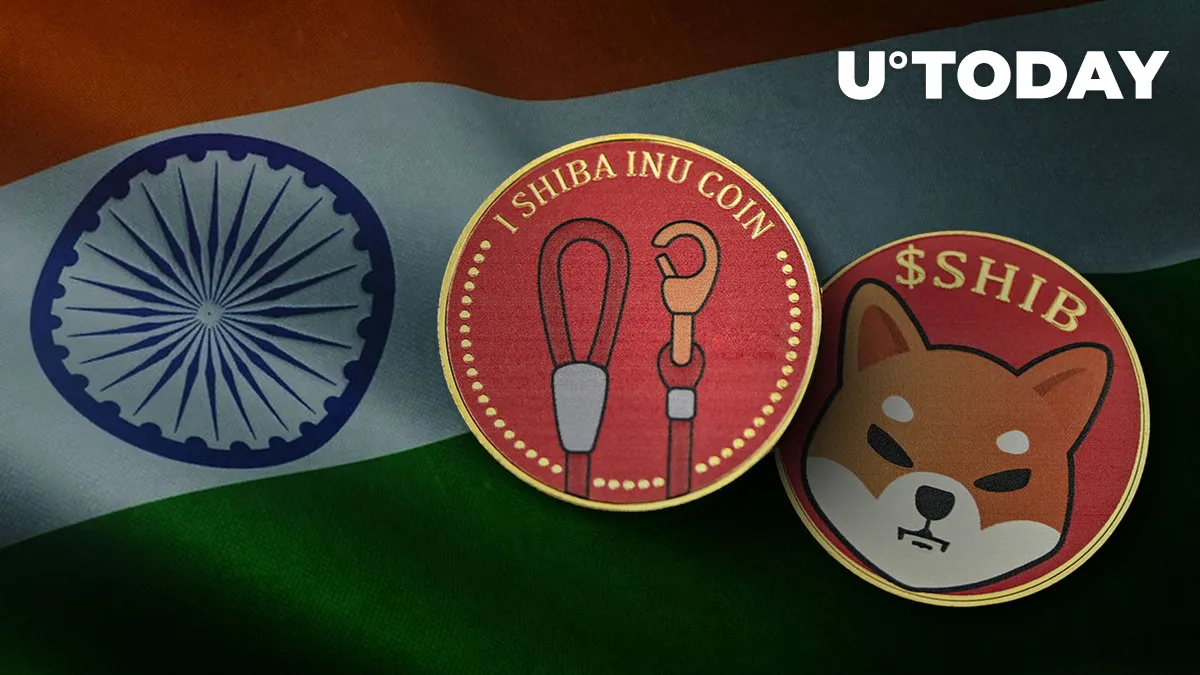 Doge Killer (LEASH) Might Be Listed on India's Largest Crypto Exchange: Details