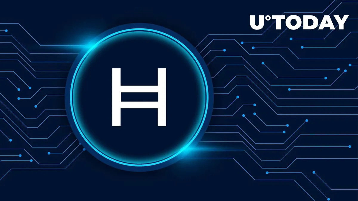 Scam Alert: Here's What We Know About Hedera Exploit