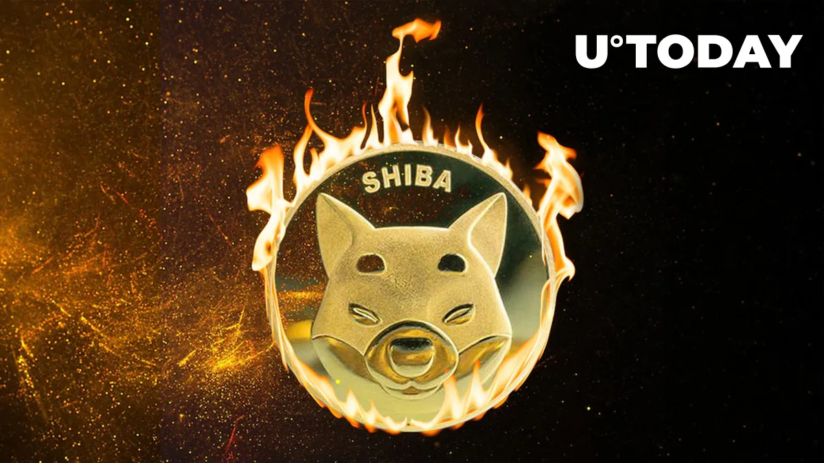 Shiba Inu (SHIB) Burn Rate up 2,400%, Here's How Price Is Reacting