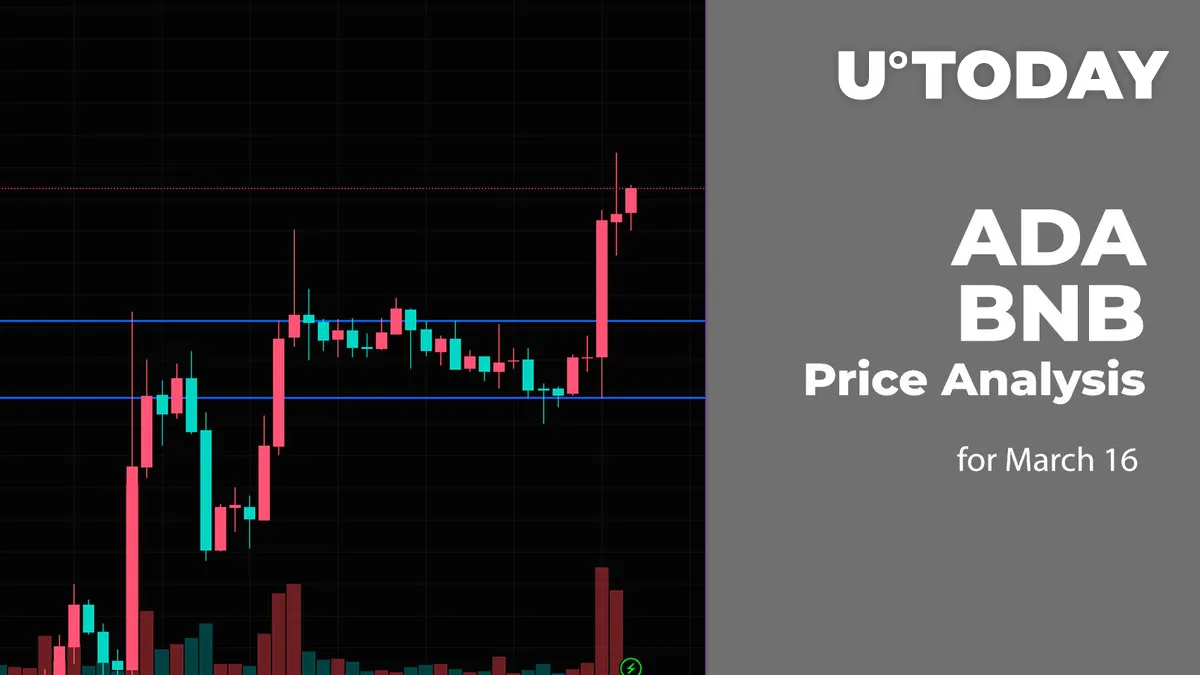 ADA and BNB Price Analysis for March 16