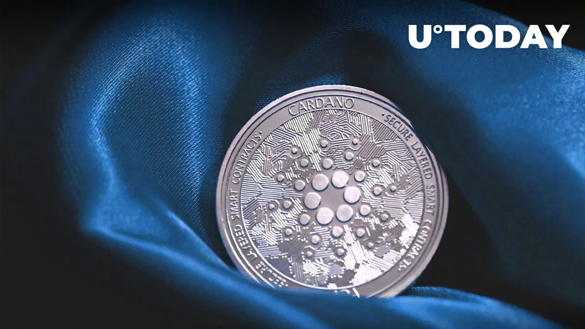 Cardano Transaction Volume Exceeds 30 Billion ADA as Market Rebounds