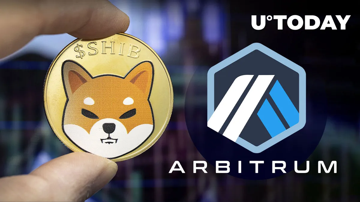 Shiba Inu (SHIB) Offshoot on Arbitrum (ARB) up 216%, Here Are Two Key Reasons Why