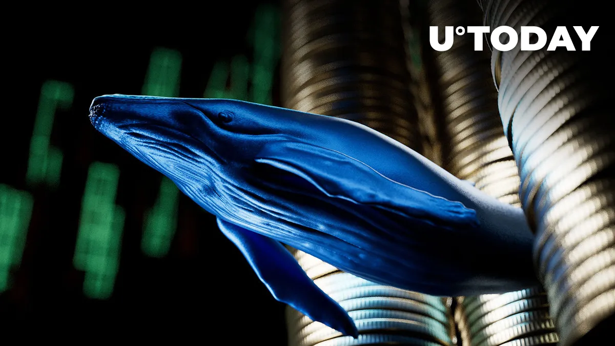 Tens of Millions of USD Saved by Mysterious Whale During FTX Crash and USDC Depeg: Details