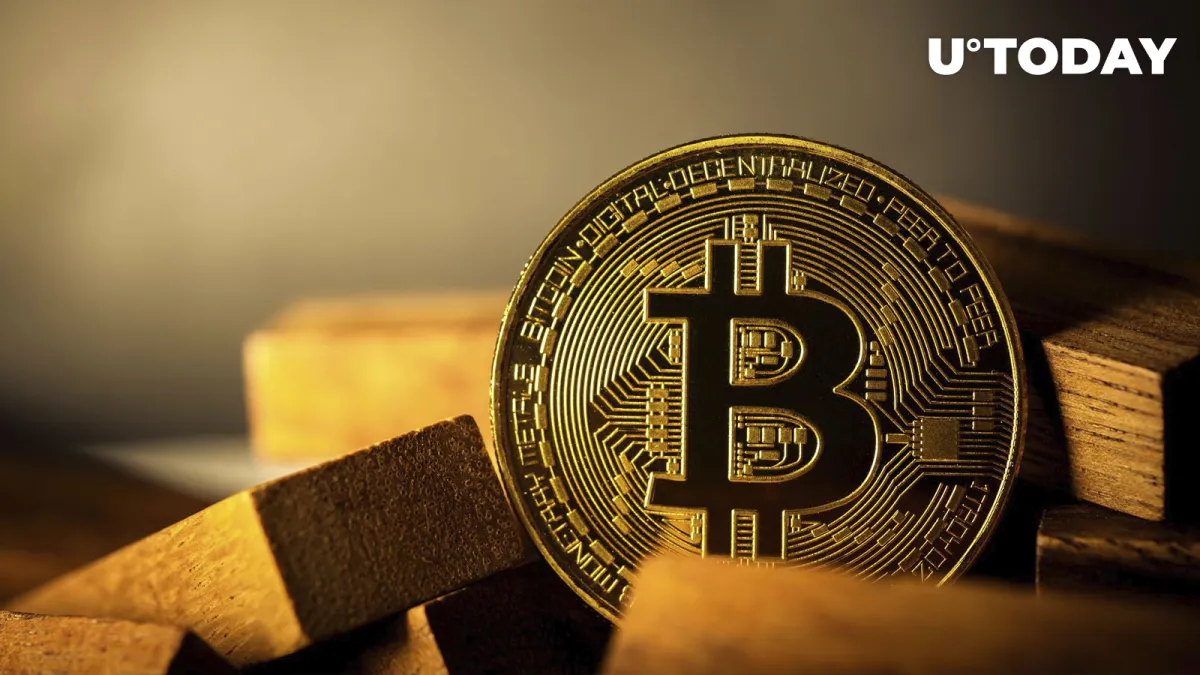 IFF Economist Mocks Bitcoin's Lack of Diversification Attributes