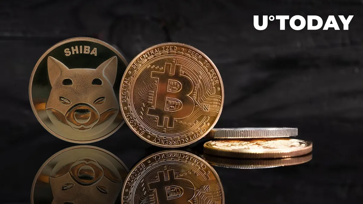 Shiba Inu (SHIB), Bitcoin (BTC) Now Accepted by This U.S. Travel Company: Details