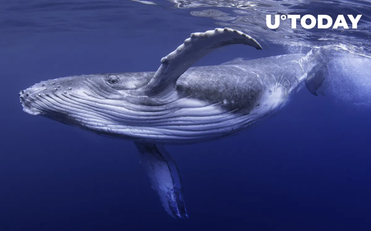 Satoshi-Era Bitcoin Mystery: Massive BTC Whale Address Activated