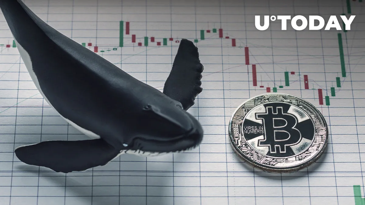 Half Billion USD in Bitcoin Moved By Anon Whale, Data Suggests Their Real Name