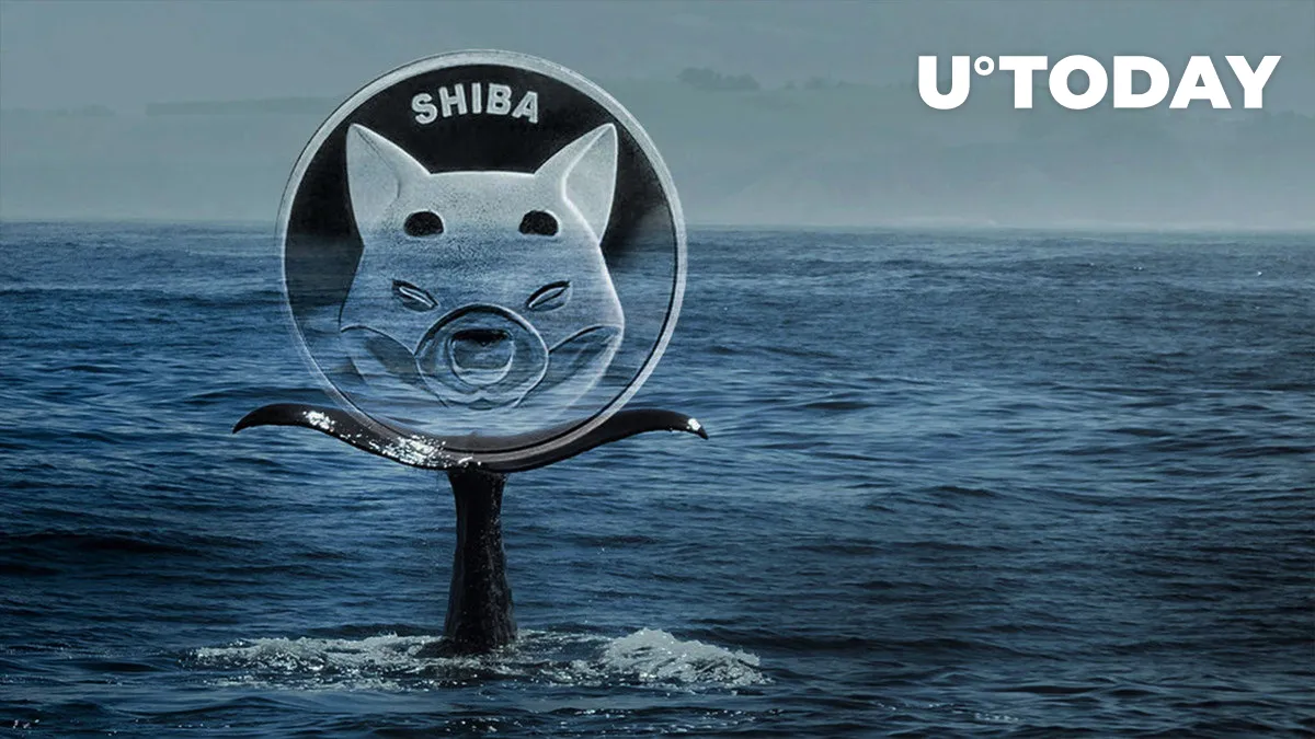 480 Billion SHIB Bought by Whale This Week After Grabbing Almost Trillion Shiba Inu in March