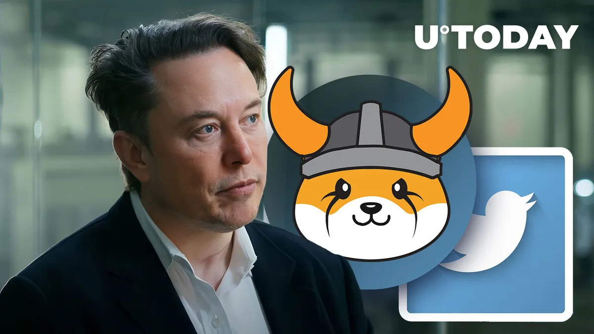 Elon Musk Says 'Floki' Took Over Twitter, Guess What Happened With Floki Inu (FLOKI)