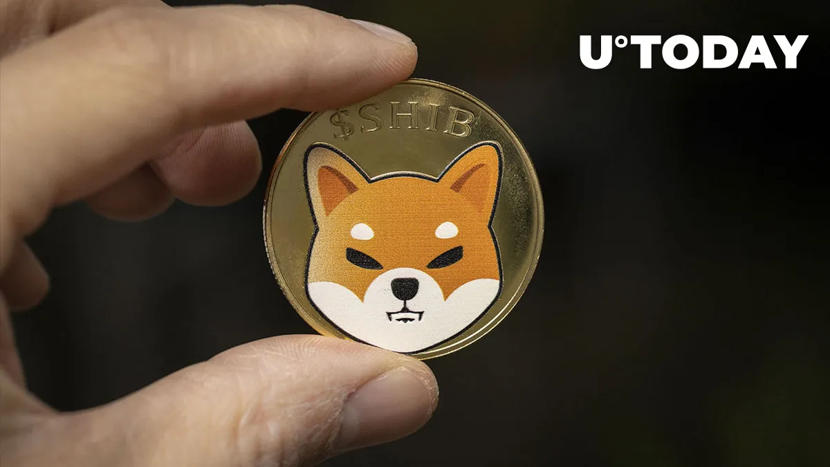 Shiba Inu (SHIB) On-Chain Metrics Show Mysterious Patterns: Details