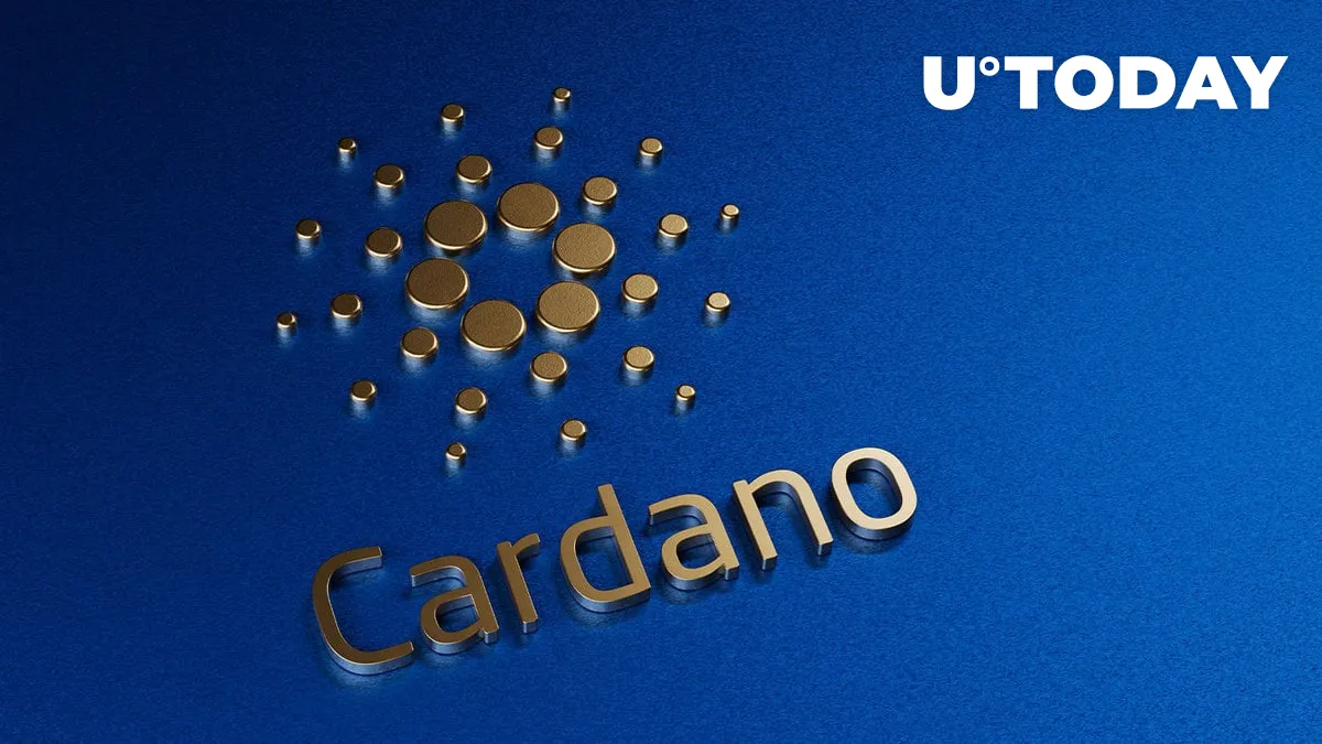 Cardano Leads the Pack: Unrivaled NFT Sales Volume in a Sea of Red