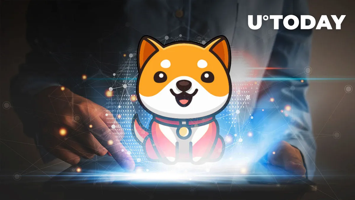 BabyDOGE up 12% as Listing on Top 5 Exchange Next Week Teaser Comes Out