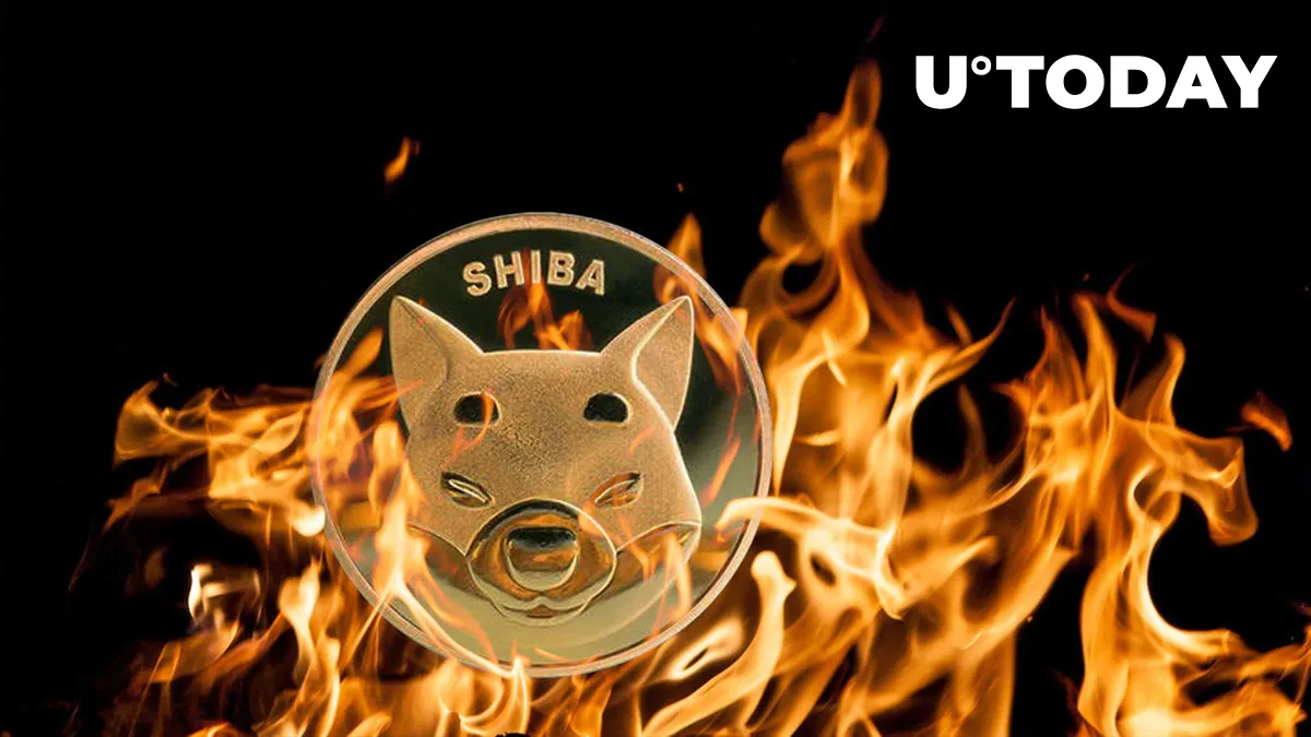 SHIB Burn Rate Spikes 245%, Here's What's Happening to Price