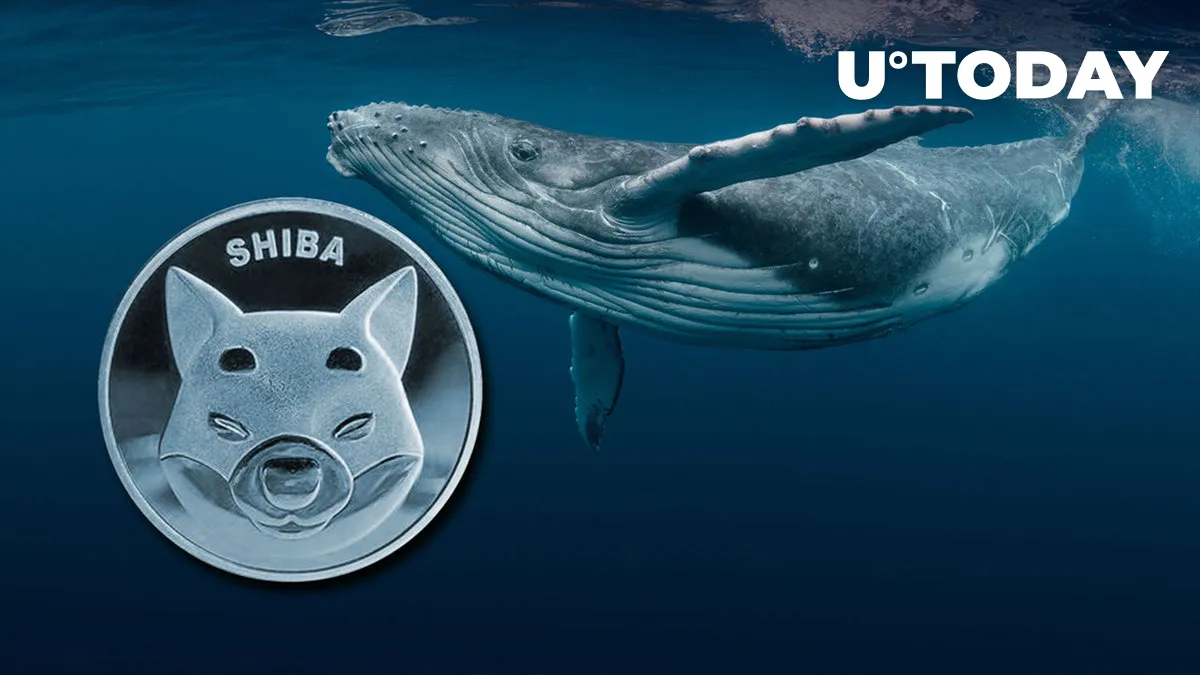 311 Billion Shiba Inu (SHIB) Grabbed by Top Whale as Price Hangs at Key Level