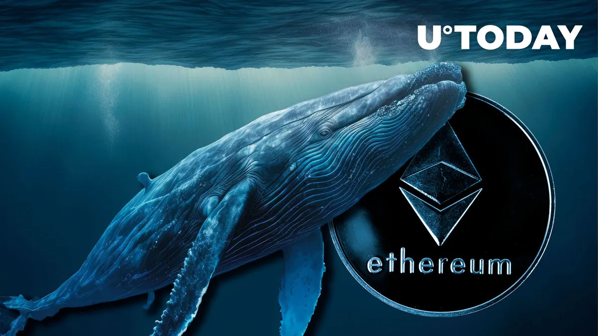 Whale Buys 19,508 ETH in Last Two Days, Buying Dip or Insider Trading?