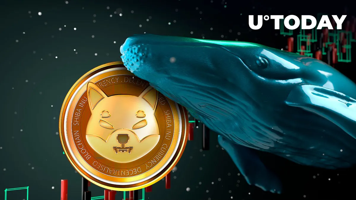$115 Million Worth of Shiba Inu (SHIB) Transferred By Whales: Price Reaction